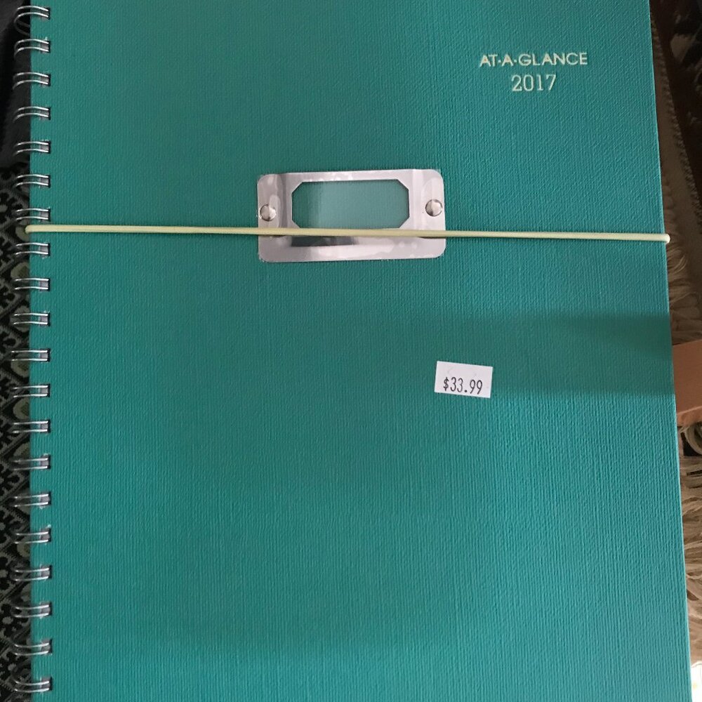 At-A-Glance Office | 2017 At A Glance Daily Planner | Color: Blue/Green |